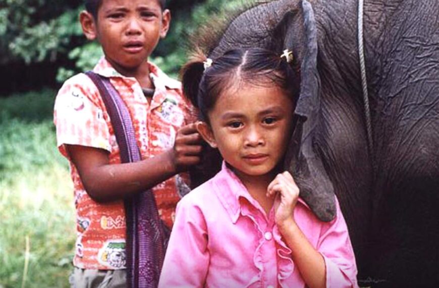 ทรูโฟร์ยู ช่อง 24 ชวนดู “ช้างเพื่อนแก้ว” มิตรภาพที่แสนอบอุ่นหัวใจของเพื่อนซี้ต่างไซส์